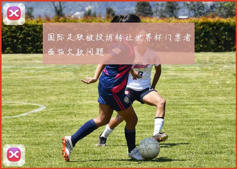 国际足联被投诉转让世界杯门票者面临欠款问题